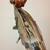 Bass Instrument 6 thumbnail