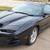 1999 Pontiac Trans Am WS6 Near Mint 1 thumbnail