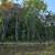 4 Properties Buncombe, Ware, & Jonesboro Online Real Estate Auction 7 thumbnail