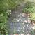 Affordable Labor Help – Moving, Yard Work & Cleanups 9 thumbnail
