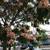 Quiet Small DTLA Private Partitioned Spot 2 thumbnail