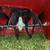 TORO 826LE 8HP Snow Blower, Snowblower Like New! 3 thumbnail