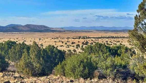 $200 /mes..¡Tu refugio fuera de la red te espera en Concho, AZ! (Concho, AZ)63675116488963122