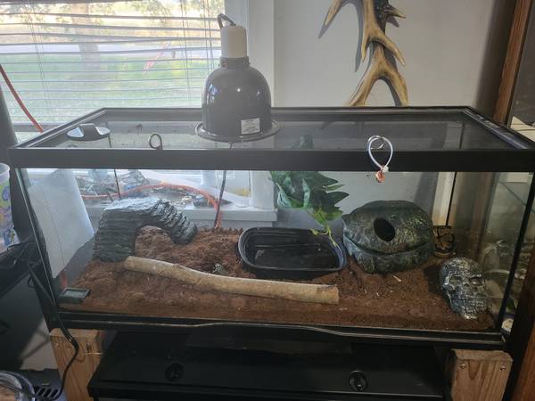 Python (Perham)63970774536706120