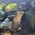 Ford F150 XLT, extended cab, wood bed 6 thumbnail