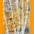 Painting-Original Oil  On Canvas -Birch Forest At Autumn 1 thumbnail