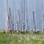 Fishing poles 1 thumbnail