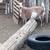 Nigerian Milk goats 11 thumbnail
