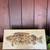 Roger Capron Style Ceramic Tile – Prehistoric Fossil Fish 1 thumbnail