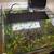 Rehoming Fish Tank 4 thumbnail