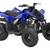 2025 YAMAHA RAPTOR 110 - $600 OFF 11 thumbnail