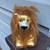 Vintage Lion Christmas Ornament - 4” x 2” 10 thumbnail