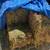 Small Hay Bales 7 thumbnail
