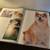 Giant Book of DOGS 5 thumbnail