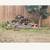Fire Wood Truck Load 3 thumbnail