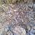 Raised bed fill/compost/decomposed organic matter 3 thumbnail