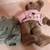 Boyd Bears ~ Archive Collection #1364 7 thumbnail