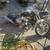 Chopper minni plus minni bike 1 thumbnail
