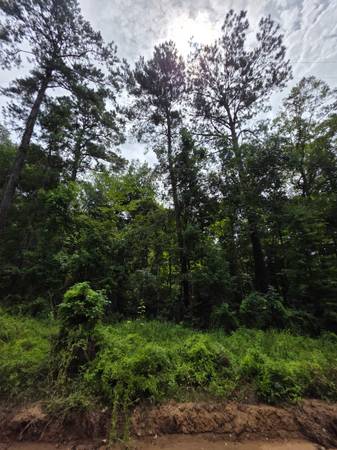 $24,635 9 lots of LAND For Sale (1.29 Acres +/-) in a rural, Tyler County (Woodville)64036373355267120