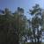 Tree service and garden 2 thumbnail