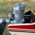 VINTAGE RC RADIO CONTROLLED AIRPLANE SUPERTIGRE 40 GAS POWERED ENGINE 5 thumbnail