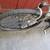 Giant Iguana mountain bike  Size 14'' , 26” wheels. 9 thumbnail