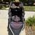 Bob Stroller 2 thumbnail