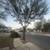 🌲 FRONT RANGE TREE & PROPERTY SERVICES 🌲 4 thumbnail