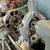 1957 Monarch Series 61 Toolmakers Lathe 13x54 VFD Single Phase Taper Attachment 19 thumbnail