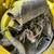 1984 Volkswagen Beetle 13 thumbnail