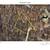 1.42 Acres in Waynesville - 123 Live Oak Lp, Lot 29 16 thumbnail