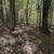 22 acres Hunting Land and Building Site with Septic System in Olean NY 19 thumbnail