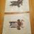 Vintage Waterfowl prints 4 thumbnail