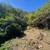 Land for Sale in Boca de Tomatlan, Privileged Location Near the River 8 thumbnail