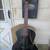 Godin 5th Avenue Kingpin Black Beauty 1 thumbnail