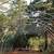 THREE 24’ X 96’ GREENHOUSE KITS-(6,912 ft of growing space) 8 thumbnail