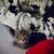 kittens searching for furever homes. 9 thumbnail