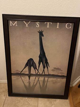 Framed Giraffe Print 1