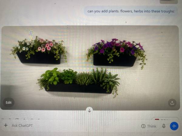 Trough planters 1