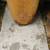 Roberts Playa Del Rey Vintage 9 Foot Long Board Surf Board 1960's 3 thumbnail