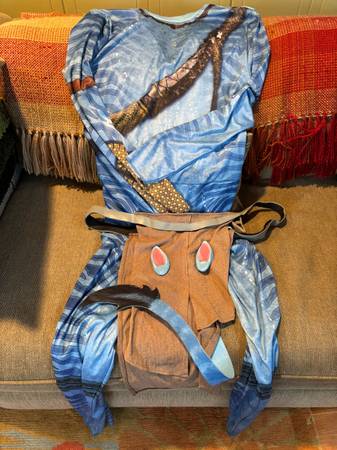 Avatar costume - medium 32-24 1