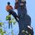 🔷MORELOS TREE Specialist, Removal, Trimming, Stump. Dependable🔷 12 thumbnail