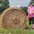 Hay for sale 1 thumbnail
