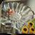 Mikasa Sunflower Frosted Large Embossed Tray 1 thumbnail