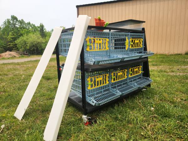 Quail pen 1