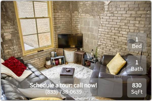 $1,355 / 1br - 830ft2 - Gorgeous 830 Sq Ft, 1 Bed / 1 Bath near public transportation (Minneapolis)63990226817666120