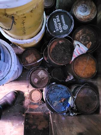 Free paint 1