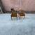West Elm Two Mid Century Modern Chairs. 1 thumbnail