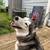 Local Animal Care Provider -- Washington, D.C. 5 thumbnail