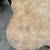 Brass and Burl quatrefoil end table by Mastercraft A125 6 thumbnail